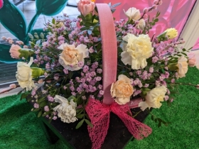 Mixed carnation basket