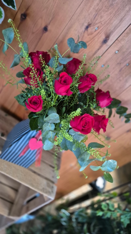 Roses  Delightful Dozen