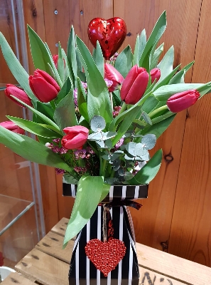 British Tulips