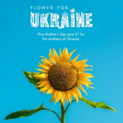 Flower For Ukraine