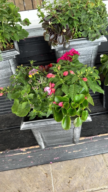 Summer Planter