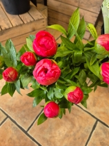 Peony Floral box